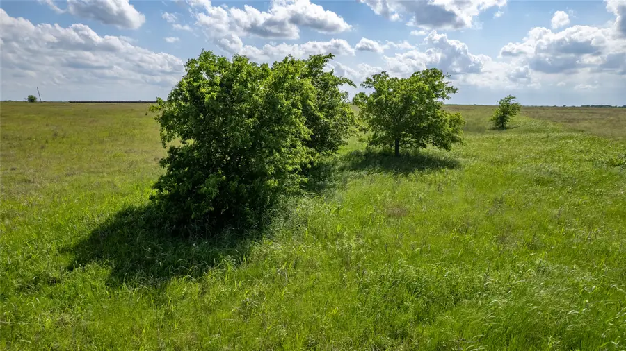 0 Dale Acres Road, Italy, TX 76651 - Image #3