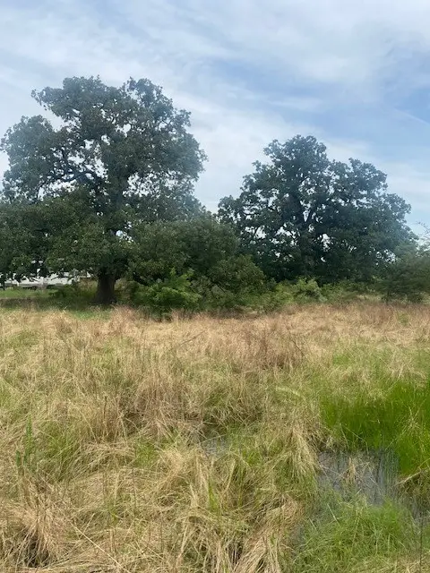 469 Cr 159, Riesel, TX 76682 - Image #2