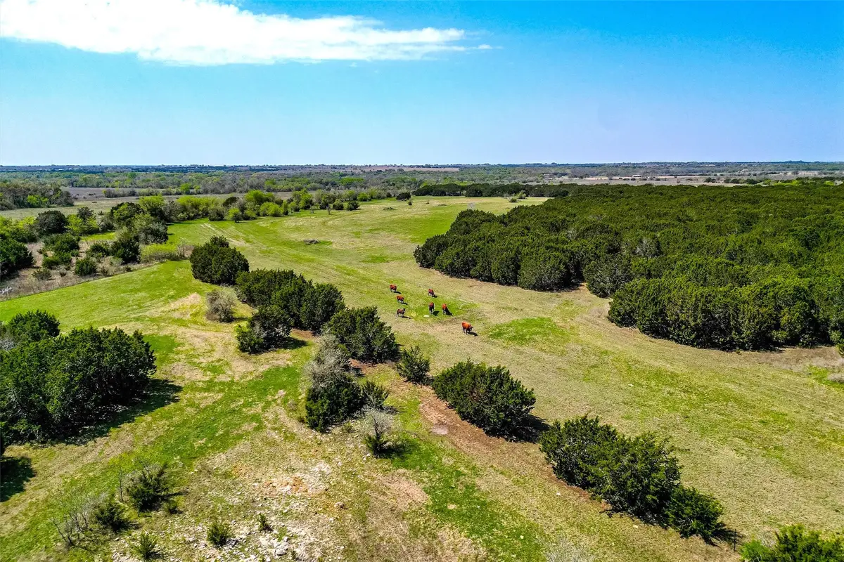 111+/- ac. 13755 N Lone Star Parkway, Valley Mills, TX 76689 - Image #1