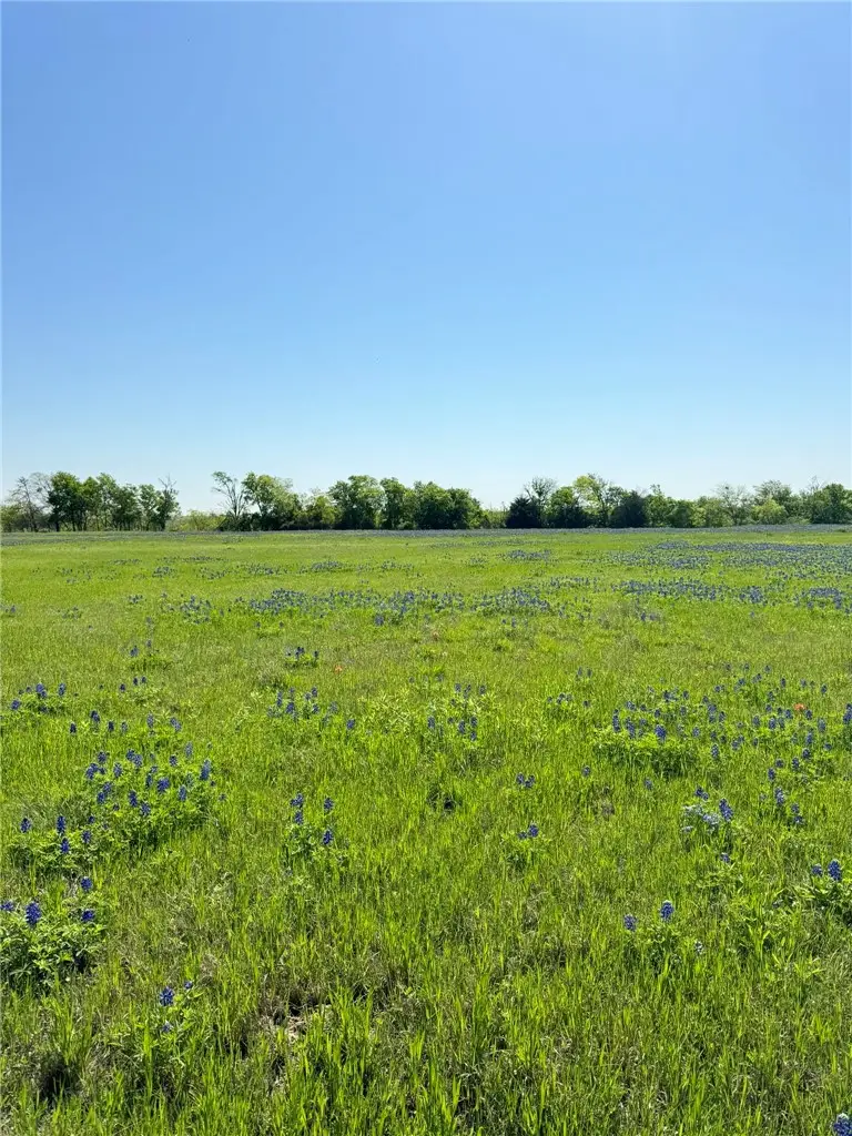 5.01 Acres Fm 308 Road, Penelope, TX 76676 - Image #2