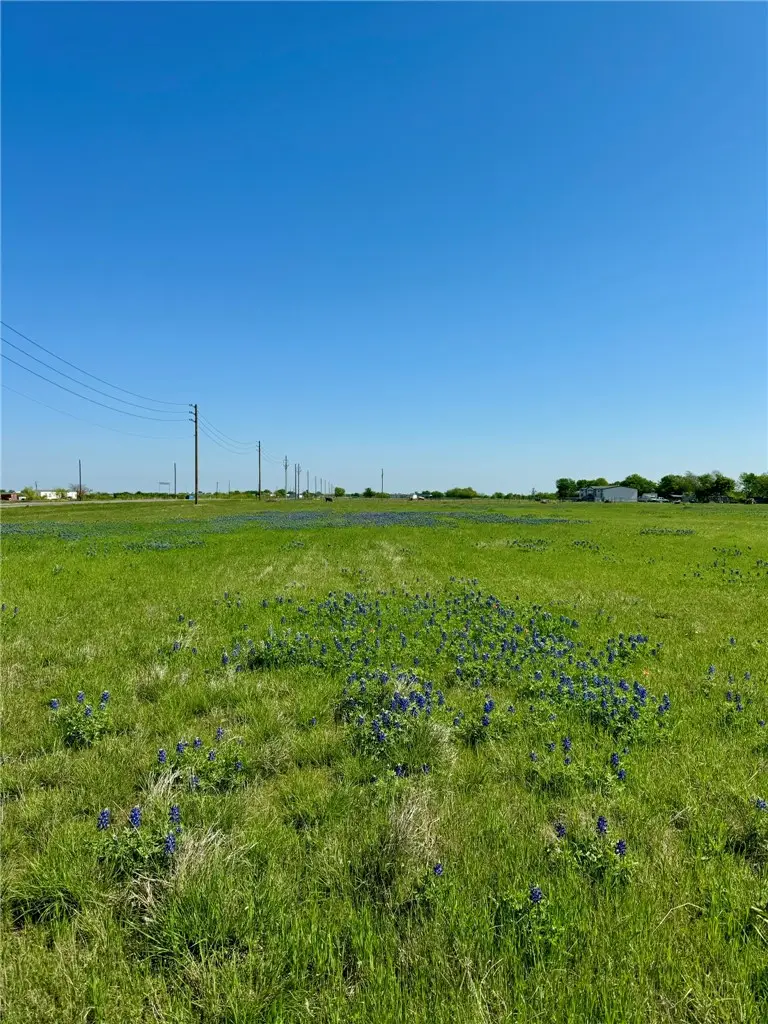 5.01 Acres Fm 308 Road, Penelope, TX 76676 - Image #3