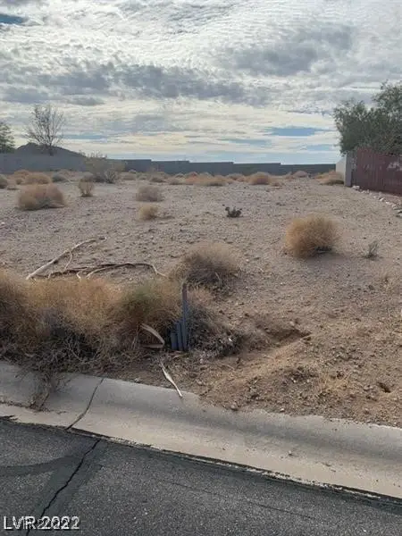 135 Fig Leaf Place, Palm Gardens, NV 89039 - Image #3