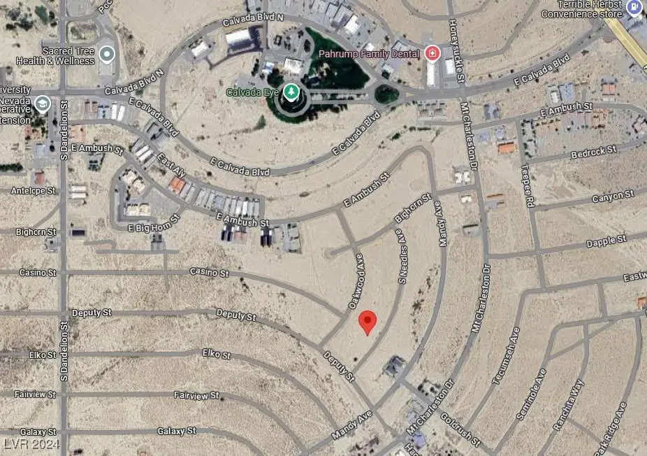 2260 Needles Way, Pahrump, NV 89048 - #1