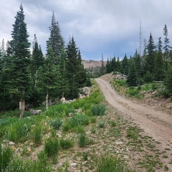 914 E Saltpile Drive, Brian Head, UT 84719 - Image #2