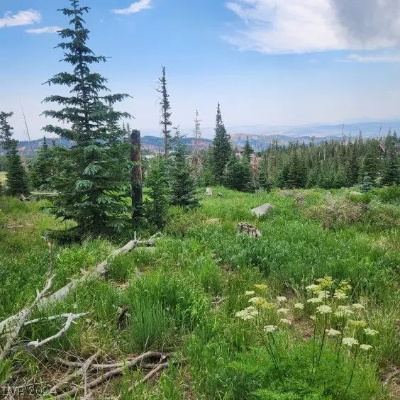 914 E Saltpile Drive, Brian Head, UT 84719 - Image #3