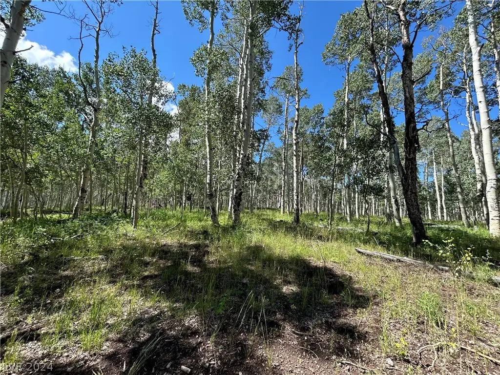 1285 Dry Lakes Road, Brian Head, UT 84719 - Image #1