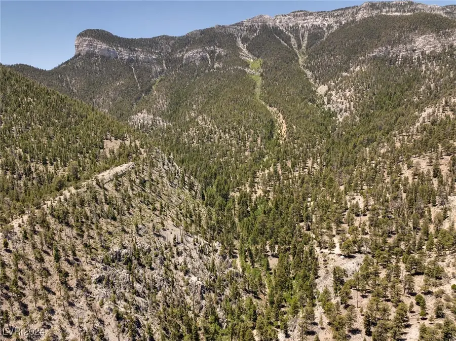 4085 Cougar Ridge Trail, Mount Charleston, NV 89124 - Image #3