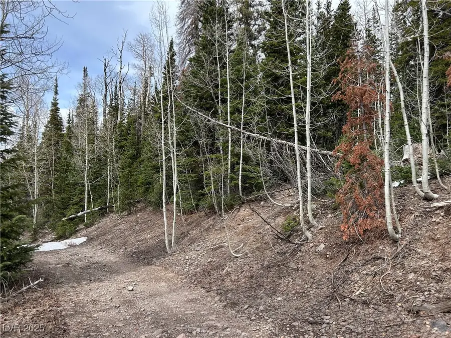 380 N Forest Drive, Brian Head, UT 84719 - #3