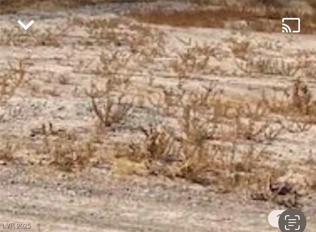 2380 N Leslie, Pahrump, NV 89060 - #1