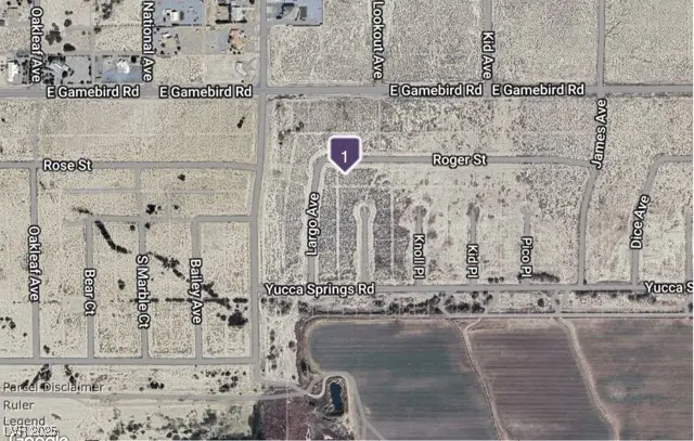 4081 E Roger Street, Pahrump, NV 89048 - Image #1