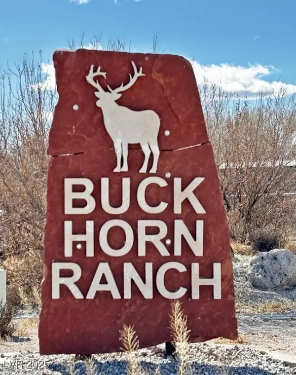 2100 Buckhorn Road, Alamo, NV 89001