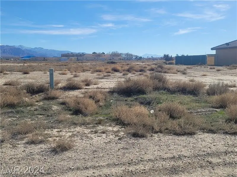 1611 S Enchanted Mesa Street, Pahrump, NV 89048 - #2