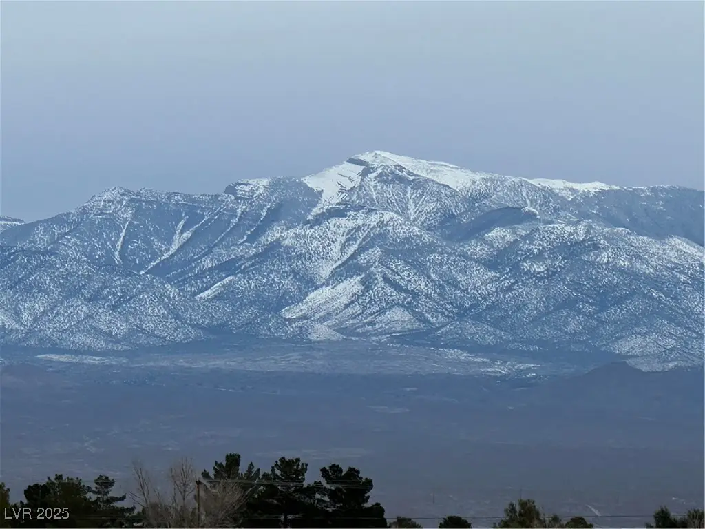 2473 Balzar Street, Pahrump, NV 89060 - #1