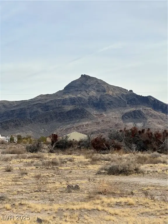 2473 Balzar Street, Pahrump, NV 89060 - #2