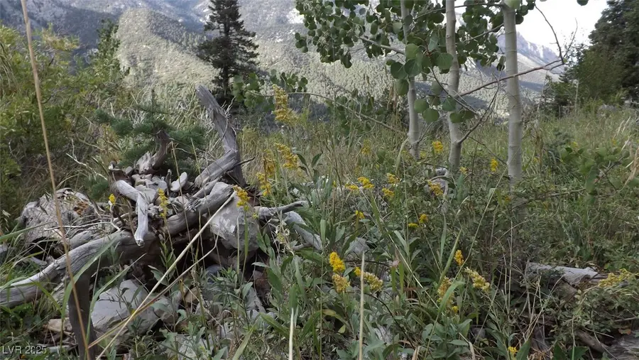 233 Ski Trail Road, Las Vegas, NV 89124 - Image #2