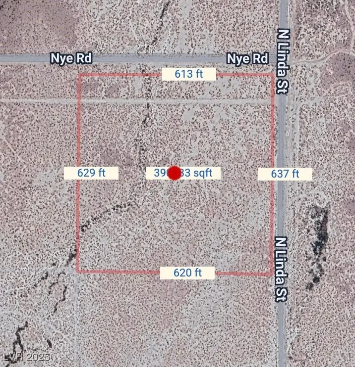 1061 W Nye Road, Pahrump, NV 89060 - #1