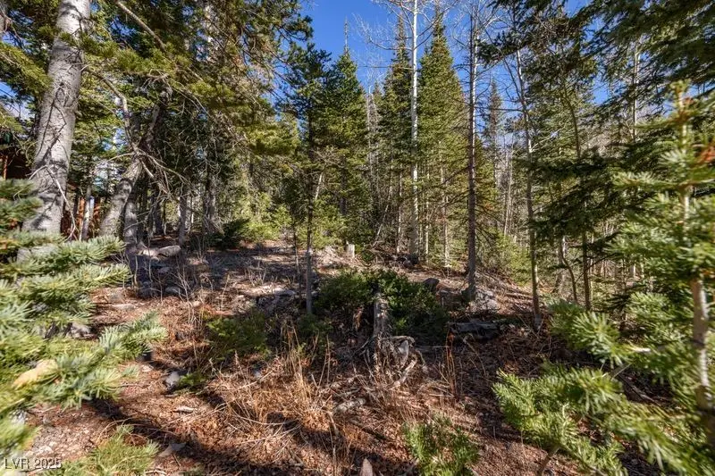 271 E Deer Trail, Brian Head, UT 84719 - Image #3