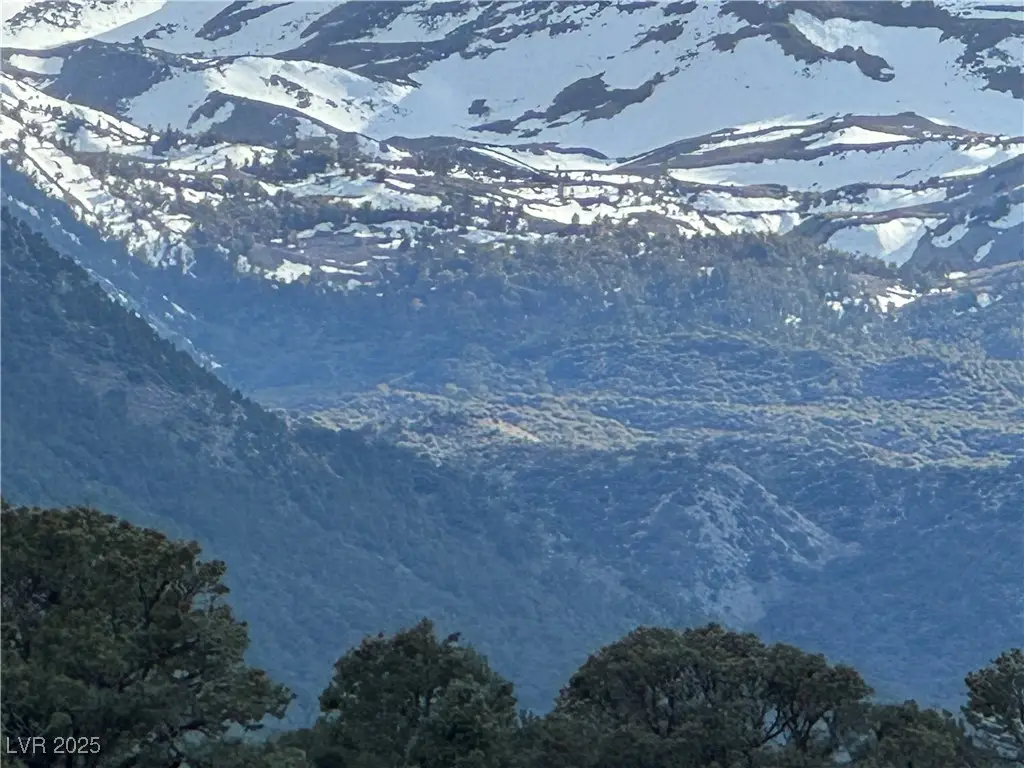 325 Davis Meadow Trail, Dyer, NV 89010 - Image #1