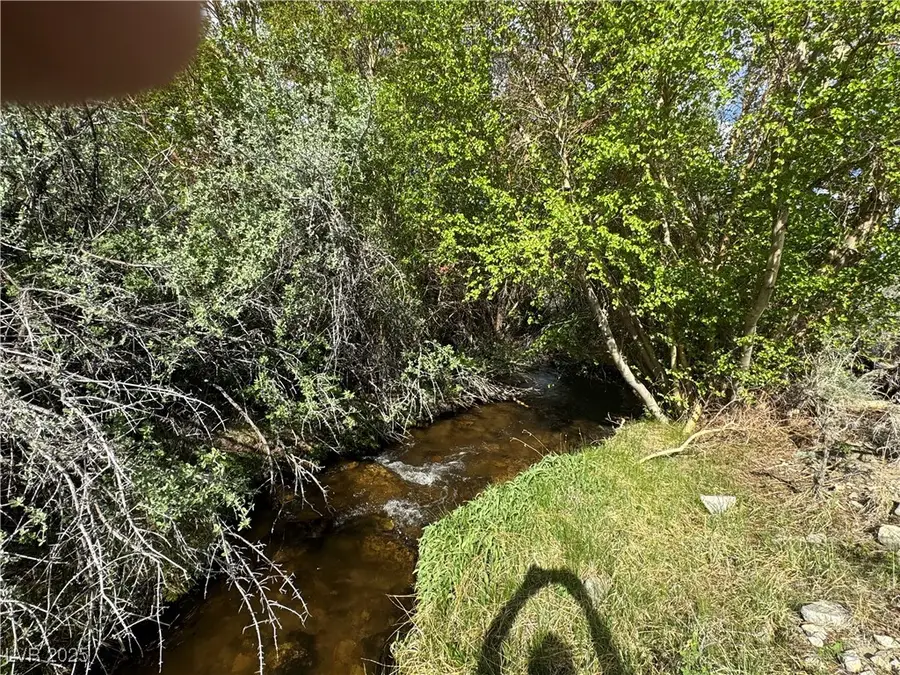 325 Davis Meadow Trail, Dyer, NV 89010 - Image #2