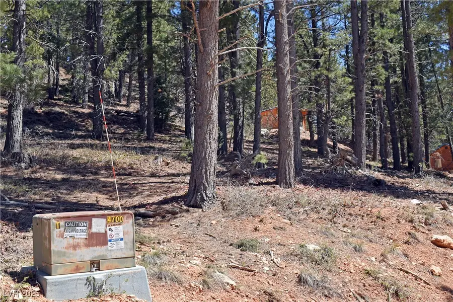 2195 Sleepy Meadow Lane, Duck Creek Village, UT 84762 - Image #3