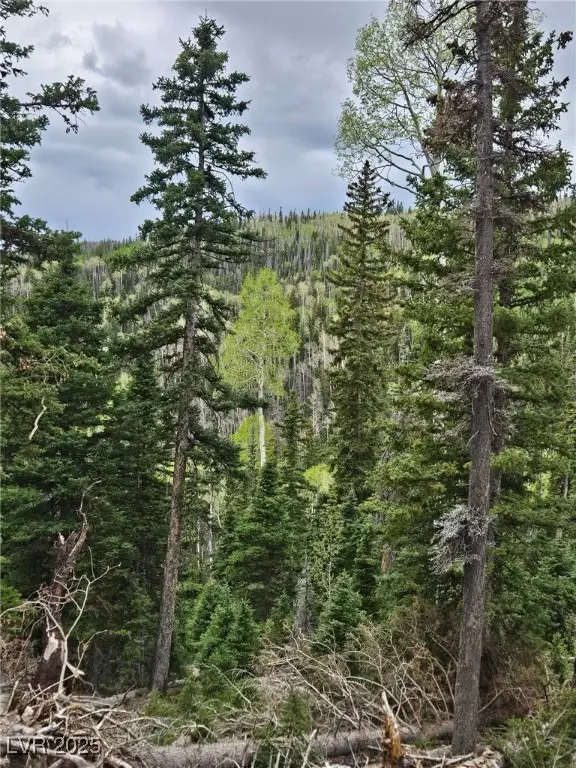 Lot 39 West Village, Beaver, UT 84713 - Image #1