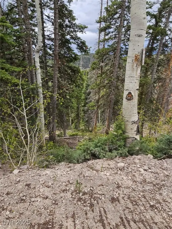 Lot 39 West Village, Beaver, UT 84713 - Image #3