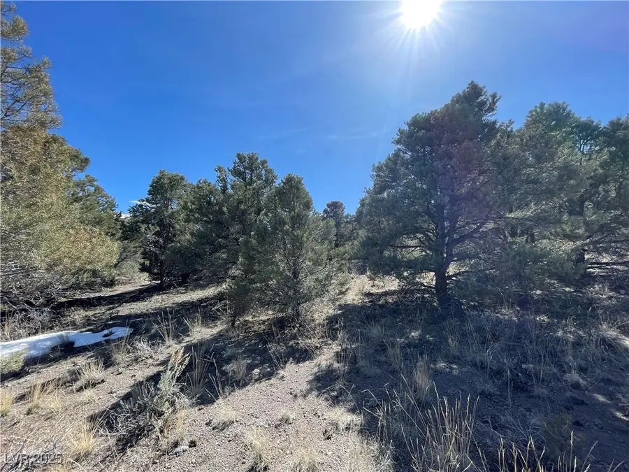 P-13 Butte Valley, Ely, NV 89301 - Image #2