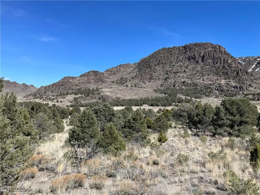 P-16 Butte Valley, Ely, NV 89301 - Image #2