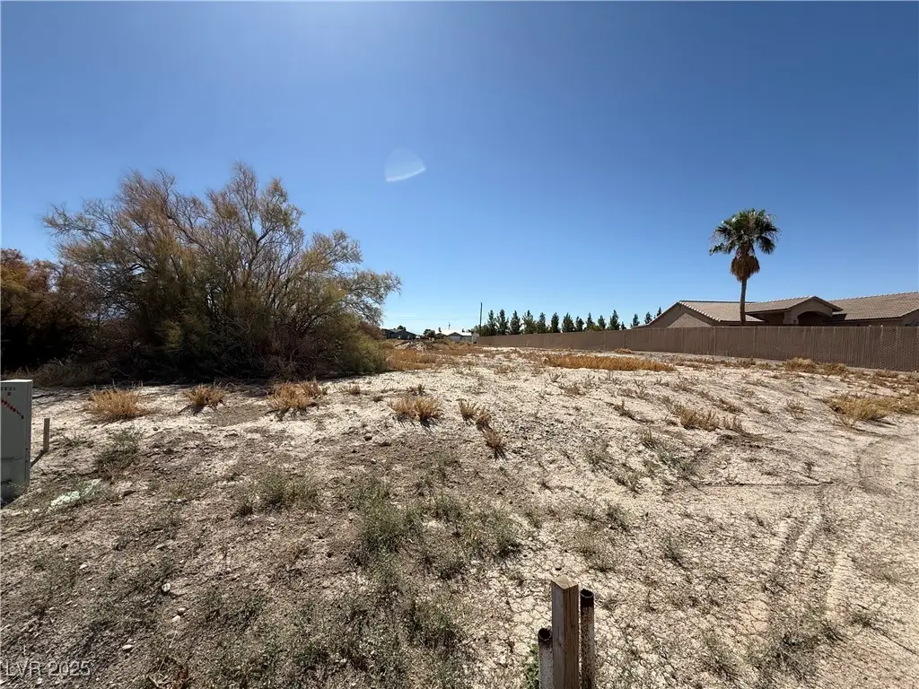 1621 S Manzanita Drive, Pahrump, NV 89048 - #1