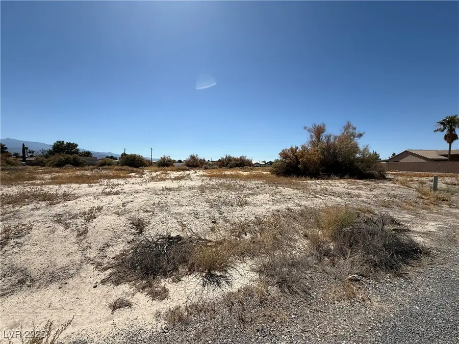 1621 S Manzanita Drive, Pahrump, NV 89048 - #3