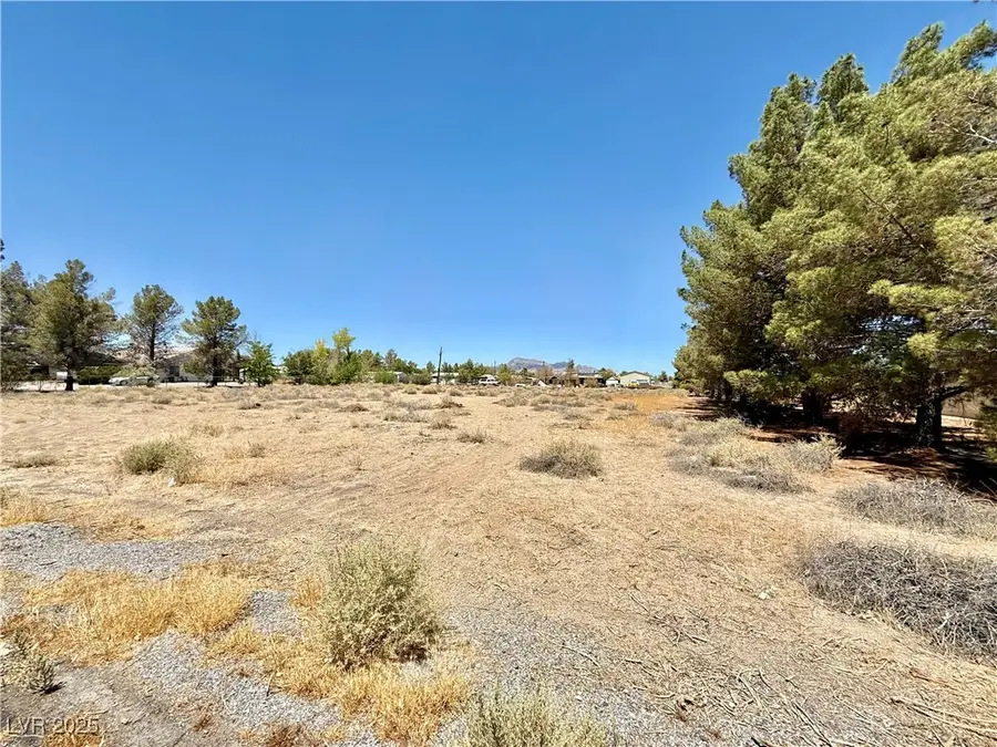 1860 W Irons Street, Pahrump, NV 89048 - #2