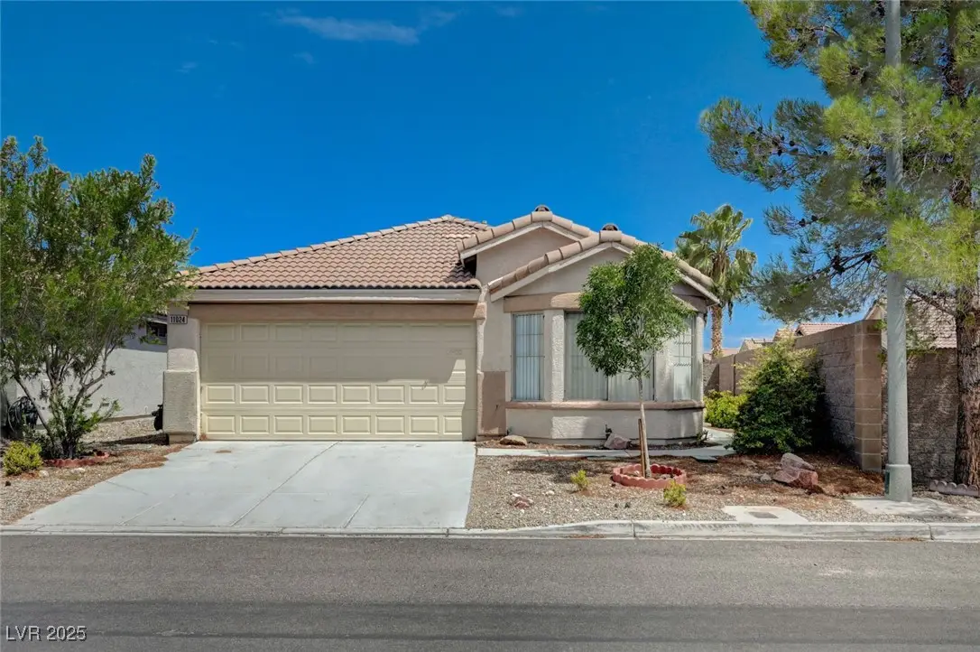 11024 Vallerosa Street, Las Vegas, NV 89141 - Image #1
