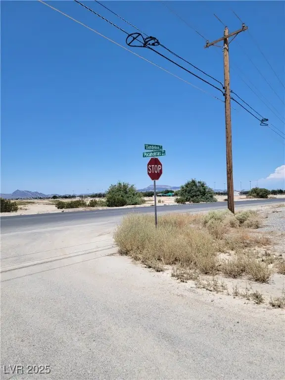 1810 S Dandelion Street, Pahrump, NV 89048 - Image #3