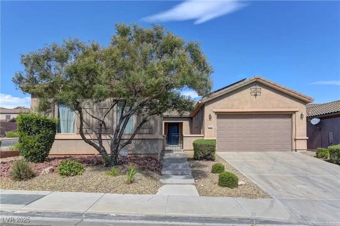 225 Palmetto Pointe Drive, Henderson, NV 89012 - #1