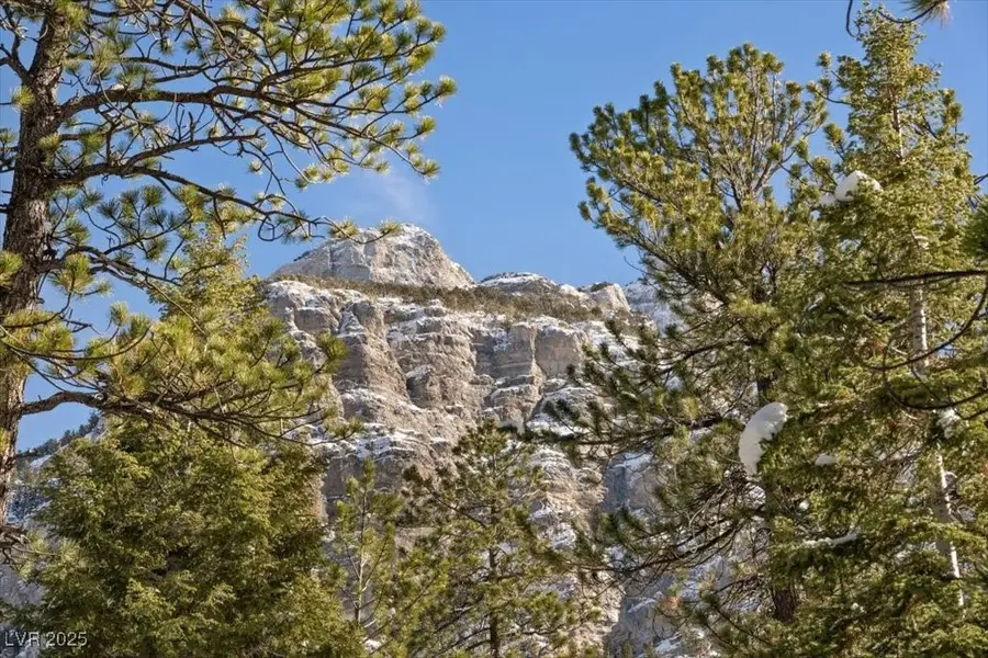 2130 Via Vita Street, Mount Charleston, NV 89124 - Image #2