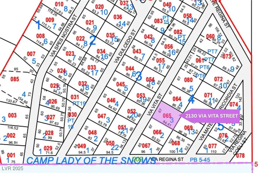 2130 Via Vita Street, Mount Charleston, NV 89124 - Image #3