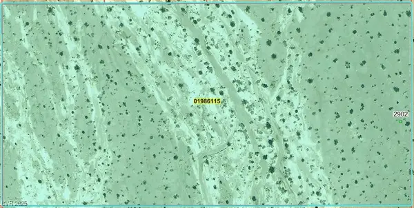 2902 N Falcon Road, Amargosa Valley, NV 89020