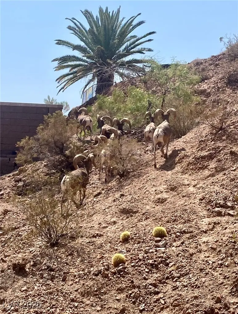 689 Mount Bona Way, Boulder City, NV 89005 - Image #1