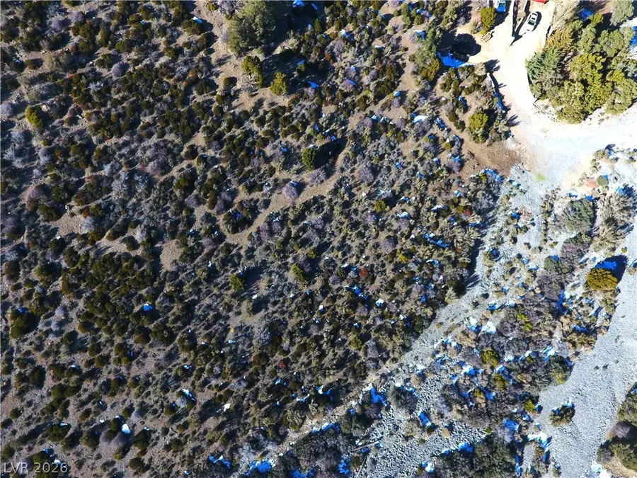 169 Baughman Circle, Las Vegas, NV 89124 - #3