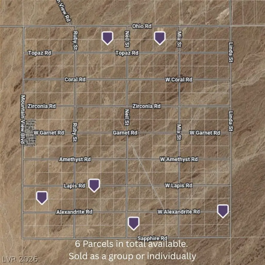 1031 W Alexandrite Road, Pahrump, NV 89020 - #3