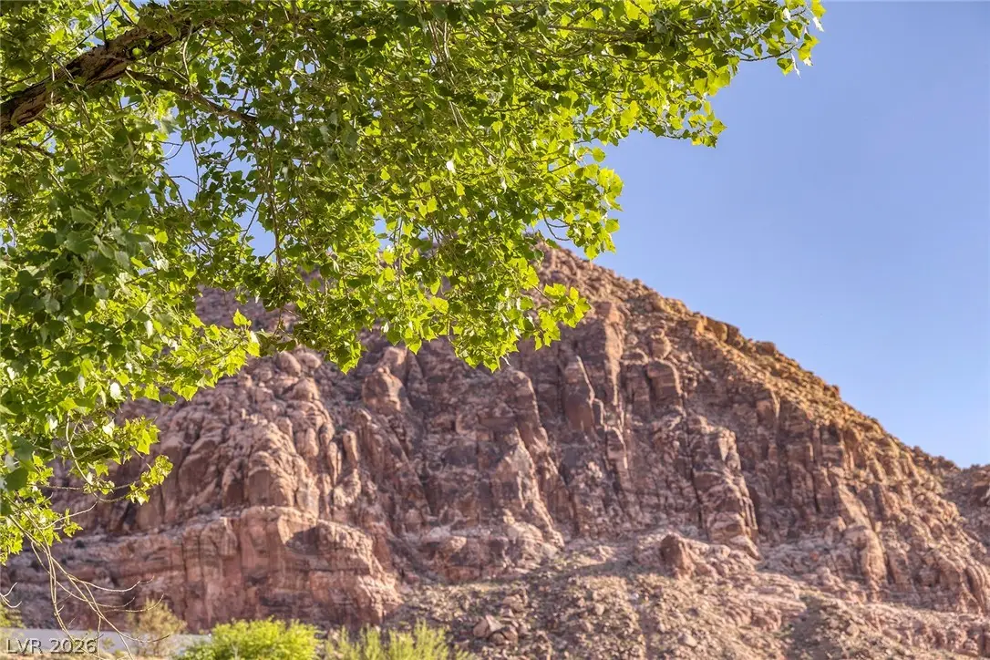 14525 Heyer Way, Las Vegas, NV 89161 - #1