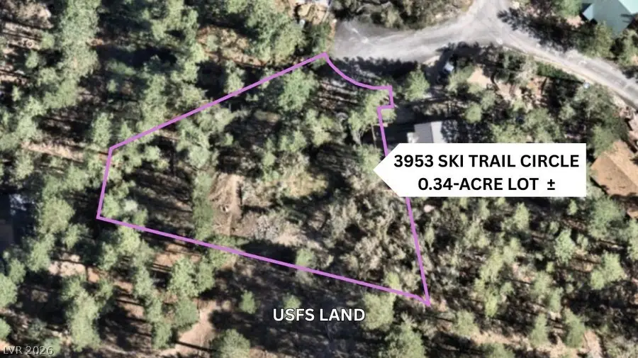 3953 Ski Trail Circle, Mount Charleston, NV 89124 - #2