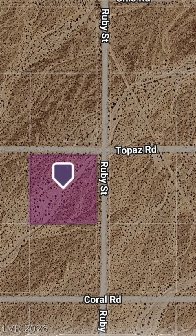 1781 W Topaz Road, Pahrump, NV 89060 - #3
