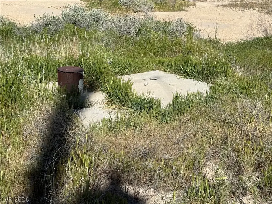 2731 Tough Girl Road, Pahrump, NV 89060 - #3