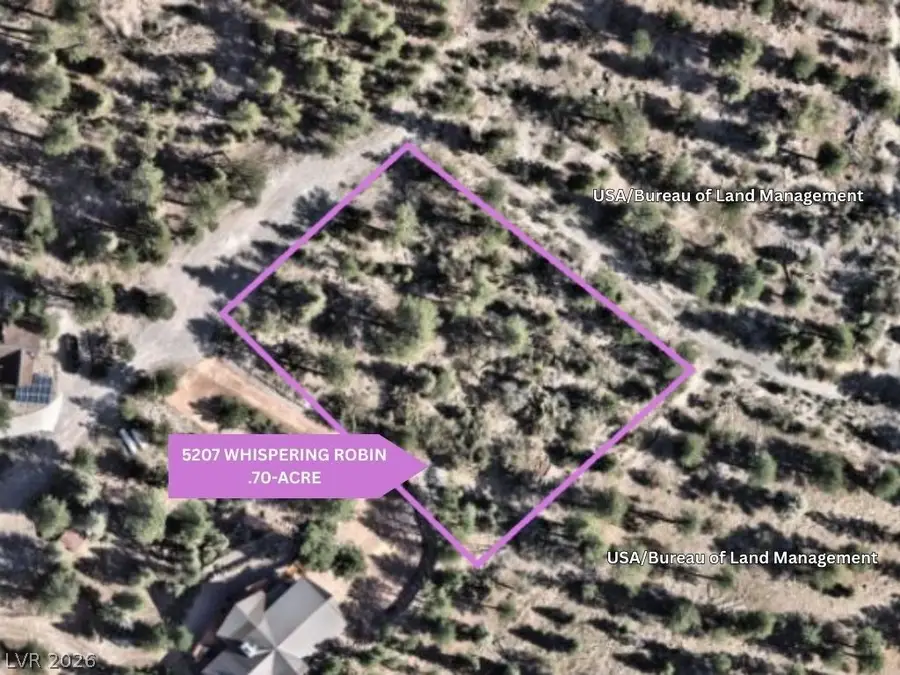 5207 Whispering Robin Lane, Mount Charleston, NV 89124 - #3