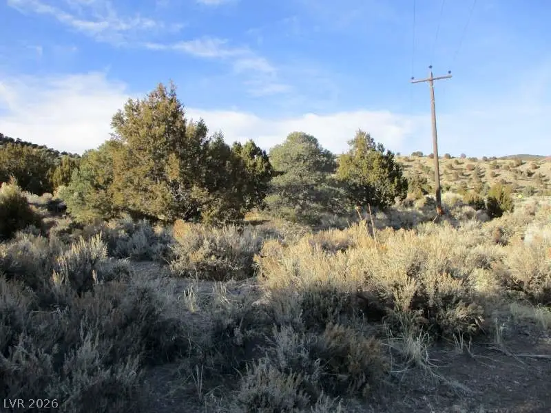 Nv Hwy 322 (30.15 Ac), Pioche, NV 89043 - #2
