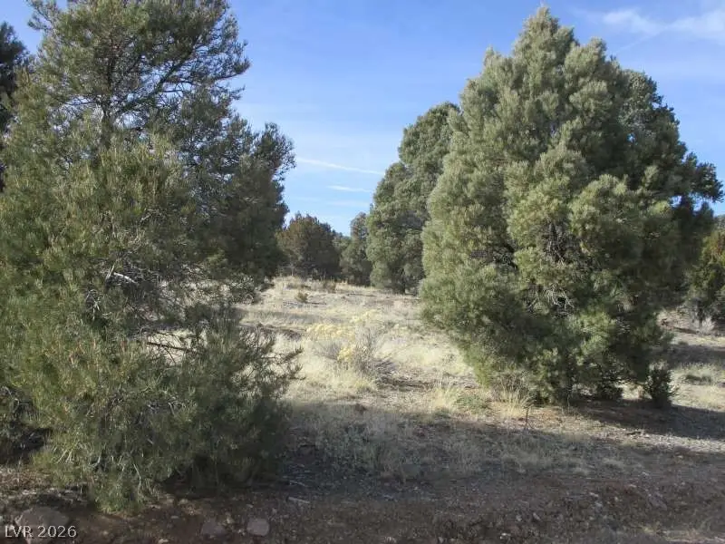 Nv Hwy 322 (13.753 Ac), Pioche, NV 89043 - #1