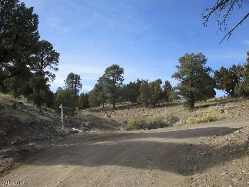 Nv Hwy 322 (13.753 Ac), Pioche, NV 89043 - #3