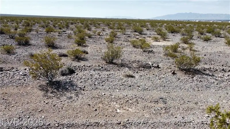 1501 E Saguaro Drive, Pahrump, NV 89060 - #3