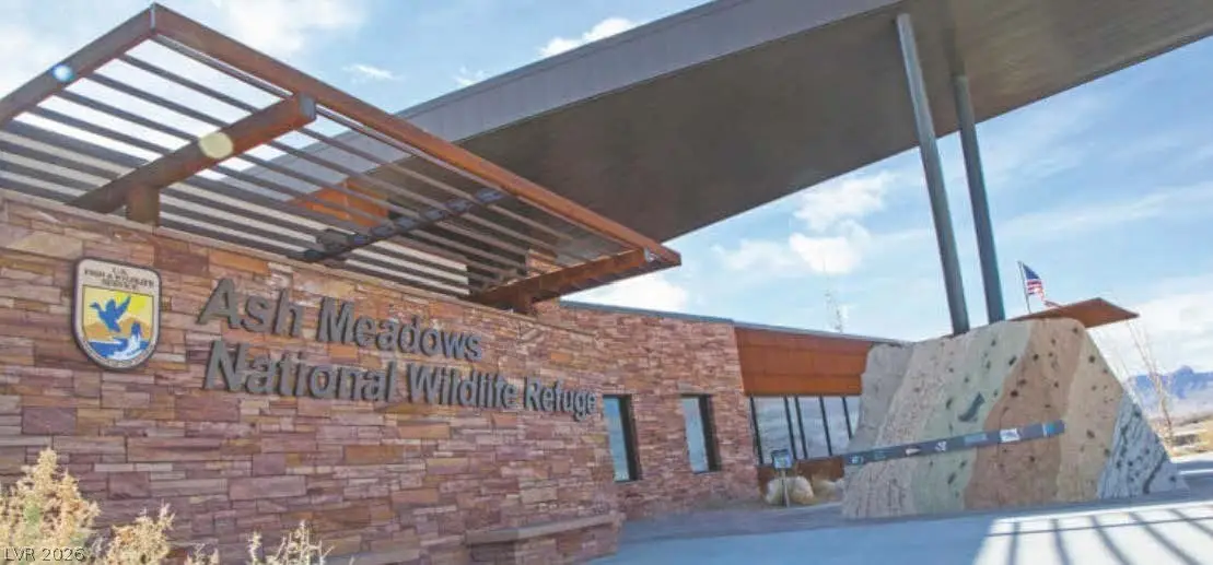 11321 S Spring Meadows Road, Amargosa Valley, NV 89020 - #1